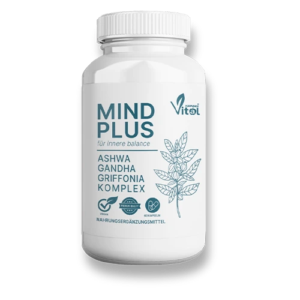 MindPlus